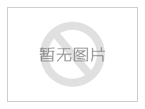 家用大型銅獅子圖片