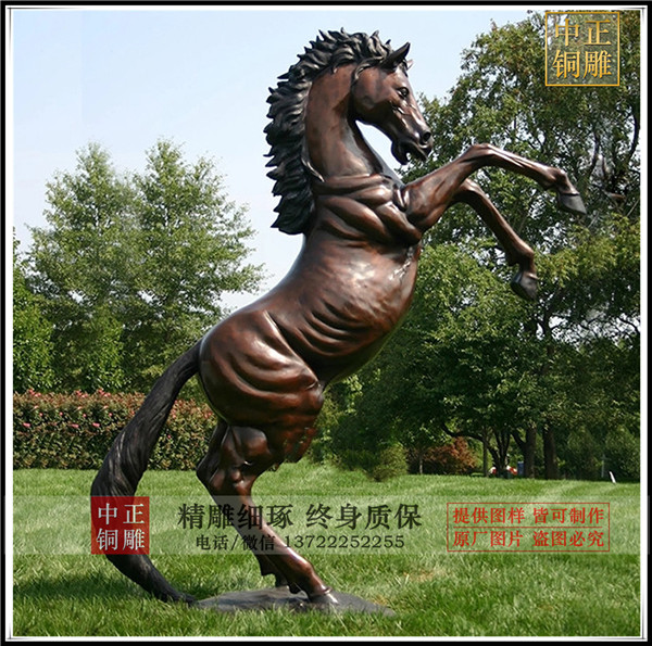 HTB1WMs3XZfrK1RkSnb4q6xHRFXat.jpg_.webp.jpg HTB1WMs3XZfrK1RkSnb4q6xHRFXat.jpg_.webp.jpg