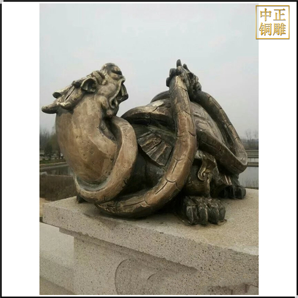 龍龜?shù)袼軆r(jià)格.jpg 龍龜?shù)袼軆r(jià)格.jpg